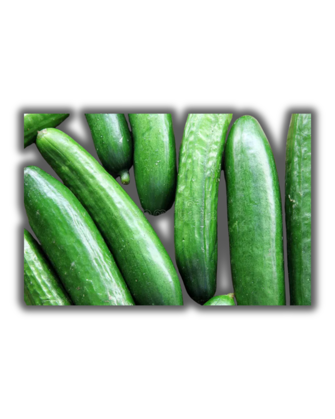 PEPINO SUPER SELECT
