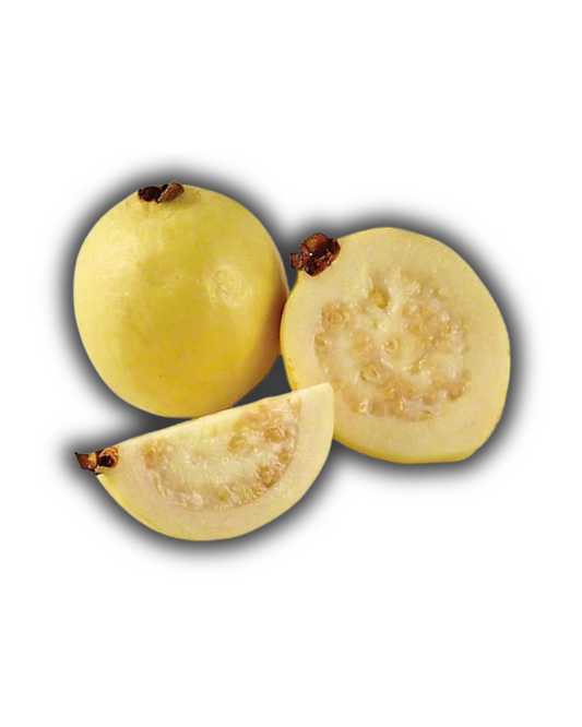 GUAYABA