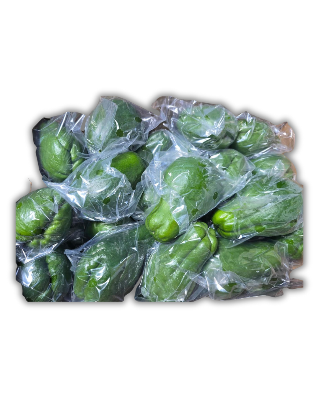 CHAYOTE