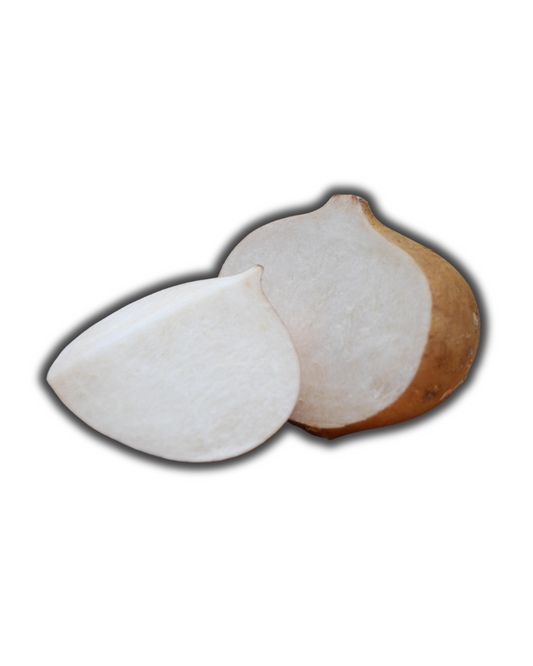 JÍCAMA
