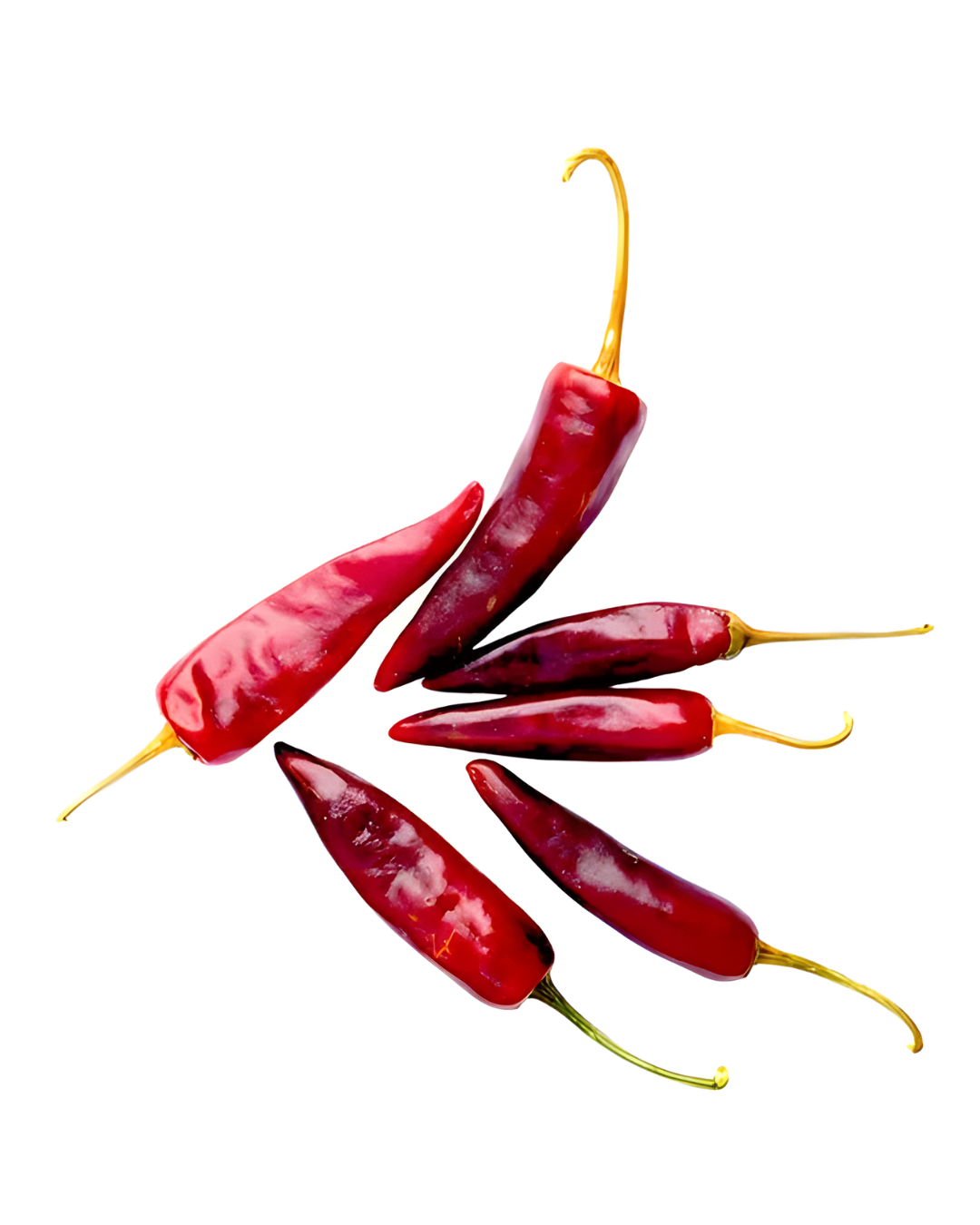 CHILE COSTEÑO