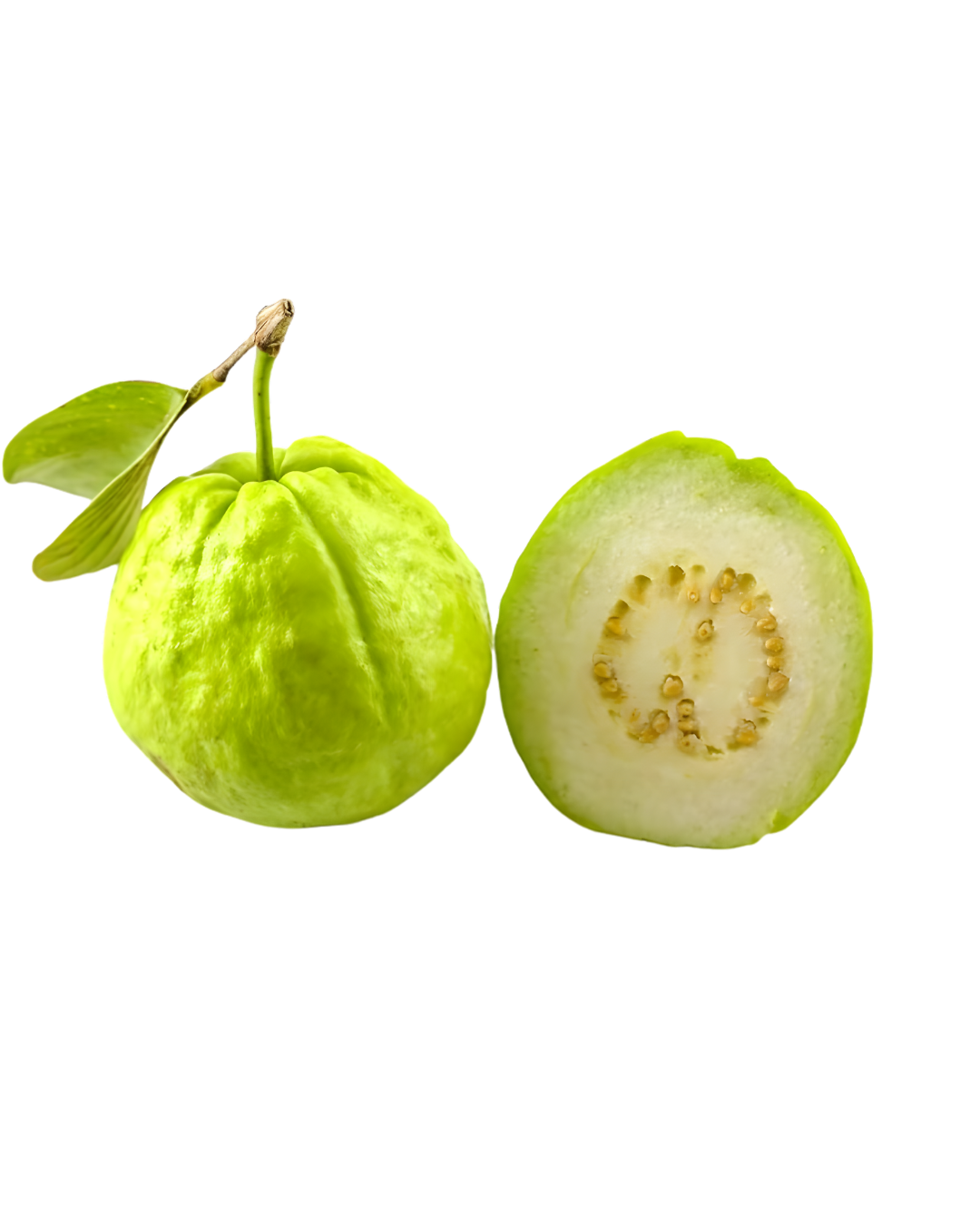 GUAYABA THAILANDESA 20 LB