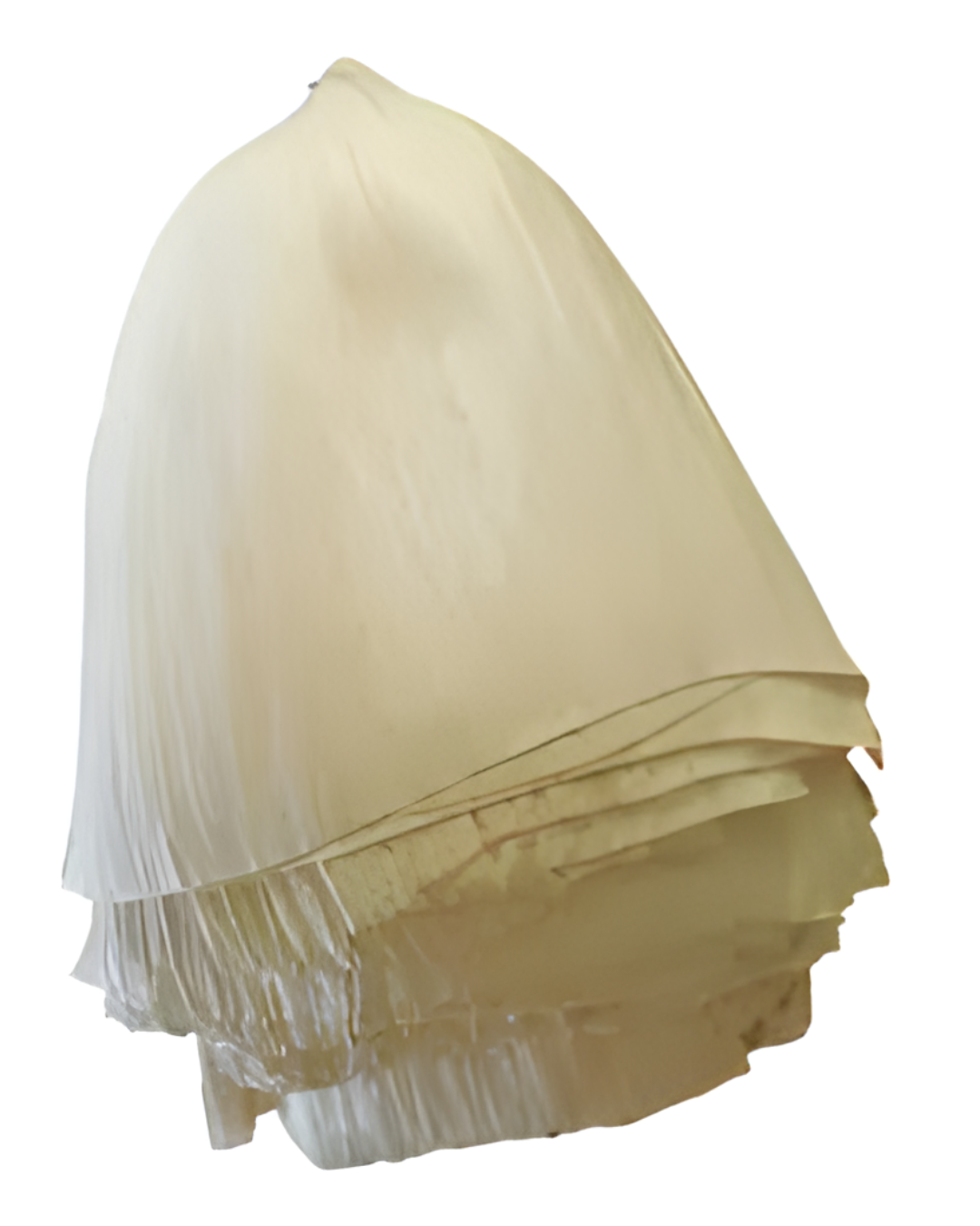 HOJA DE TAMAL CORTADA (BULTO)