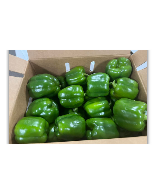 PIMIENTO MORRÓN VERDE