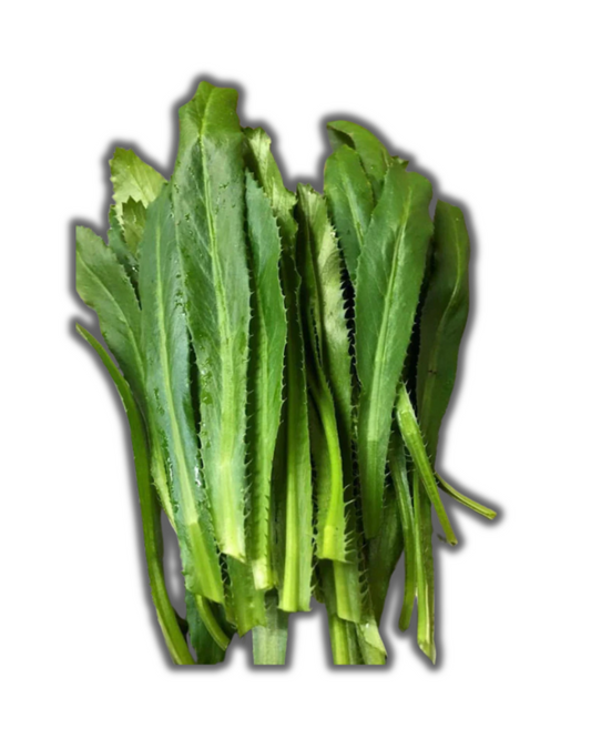 CULANTRO