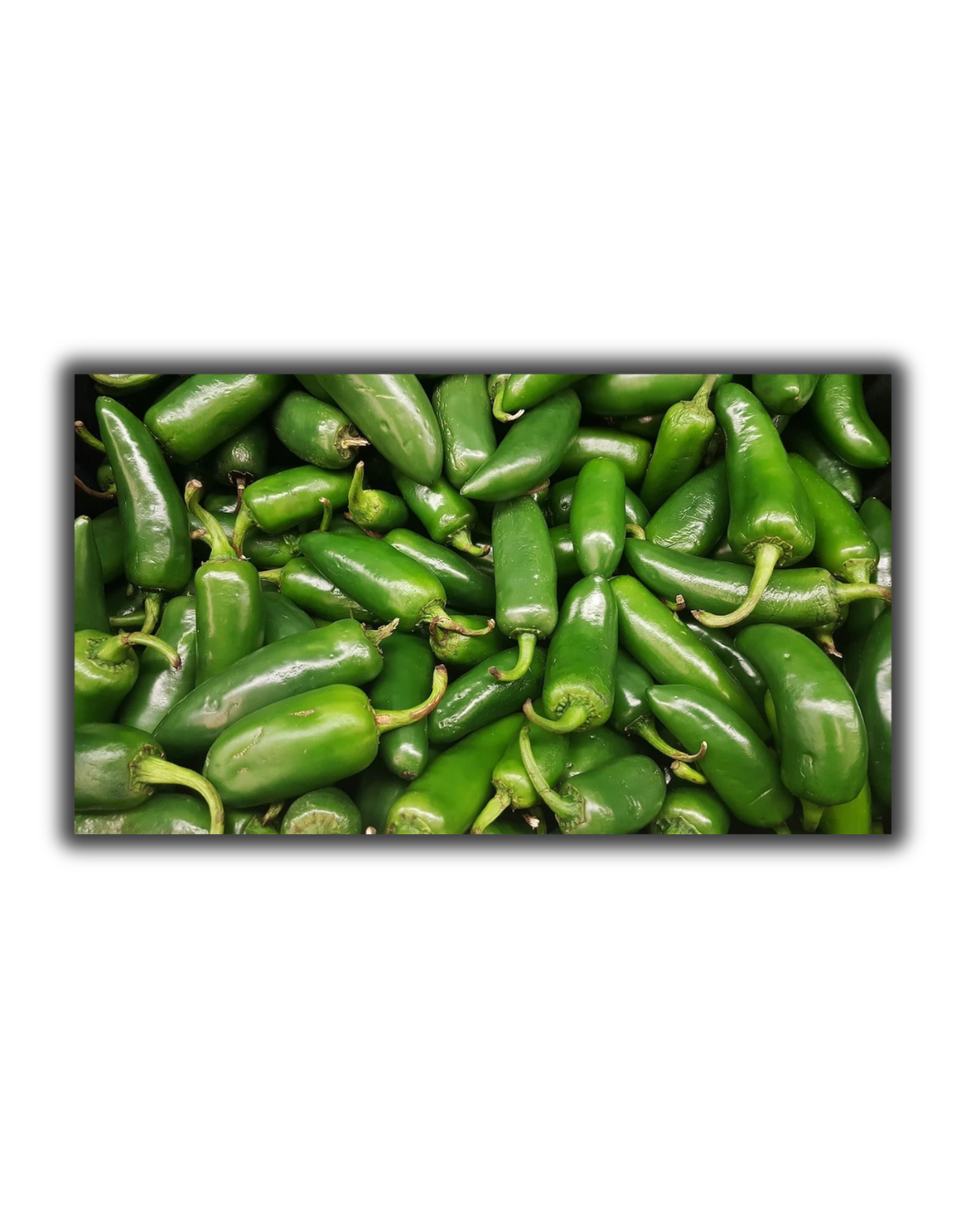 JALAPEÑO