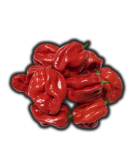 CHILE SCOTCH BONNET