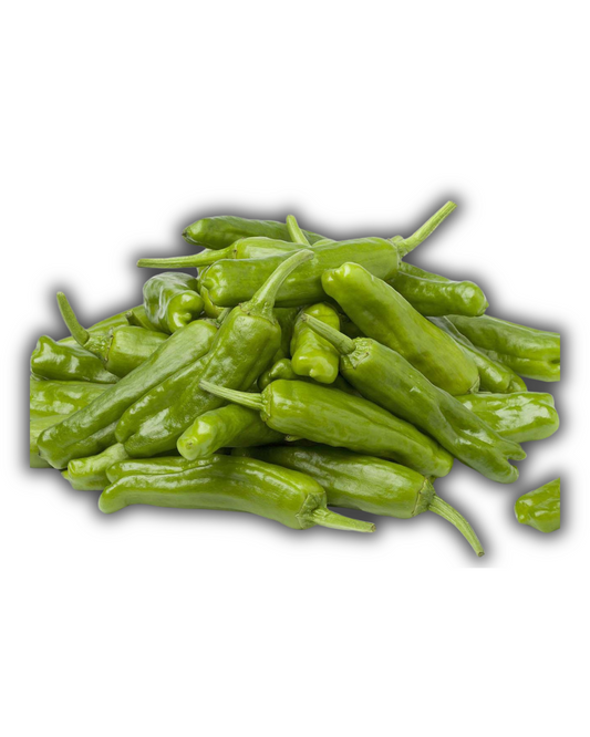 CHILE SHISHITO
