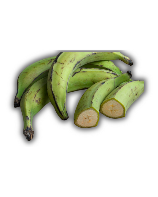 PLÁTANO MACHO