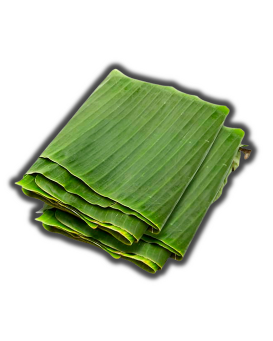 HOJA DE PLÁTANO