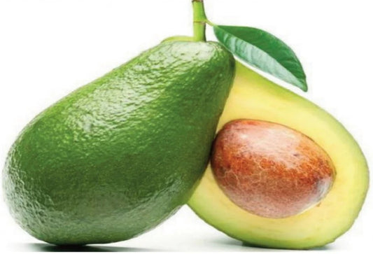 AGUACATE DOMINICANO #20
