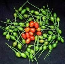 CHILE CHILTEPE PAQUETE