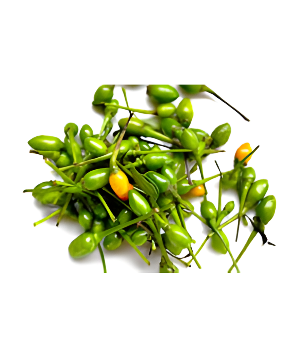 CHILE CHILTEPE PAQUETE