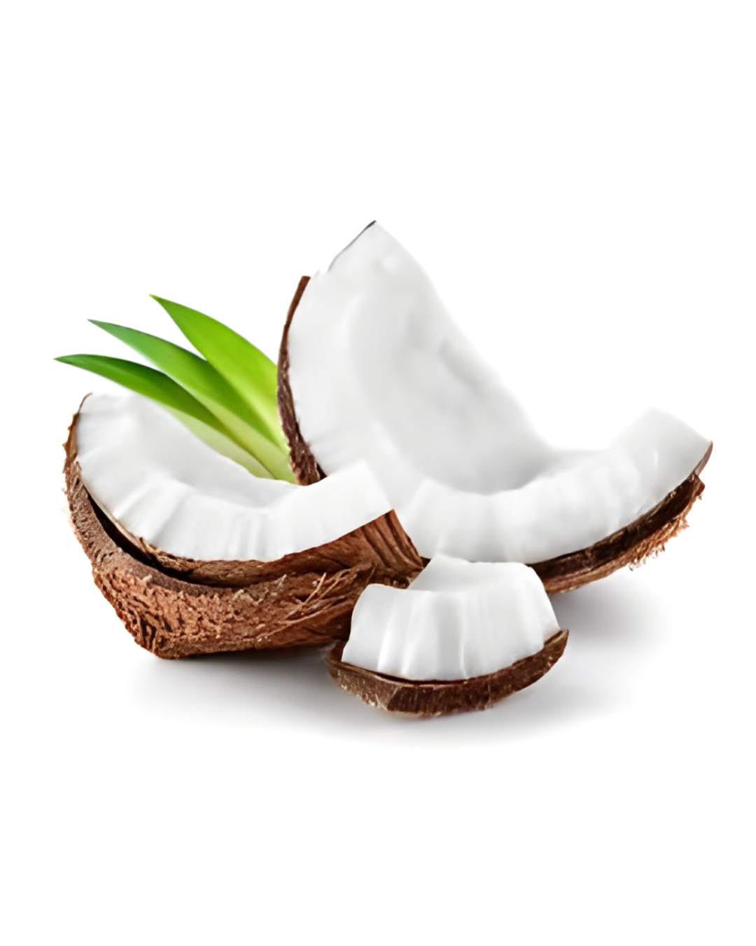 COCO BLANCO
