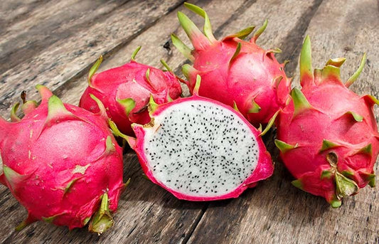 DRAGON FRUIT ROJO #9