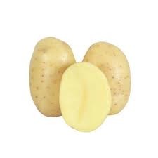 PAPA GRANDE BLANCA A 50 LB