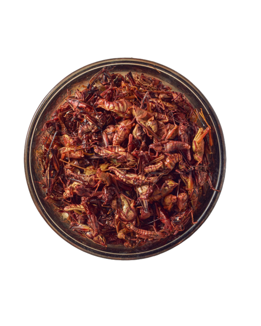 CHAPULINES