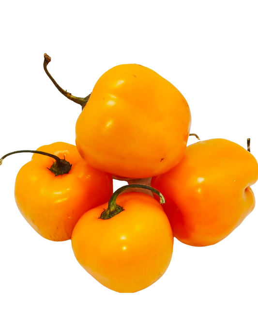 MANZANO CHILE FRESCO