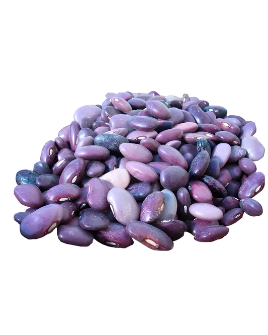 FRIJOL AYOCOTE MORADO BULTO 55 LB
