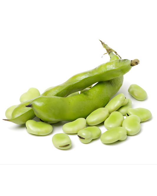 HABA VERDE FRESCA