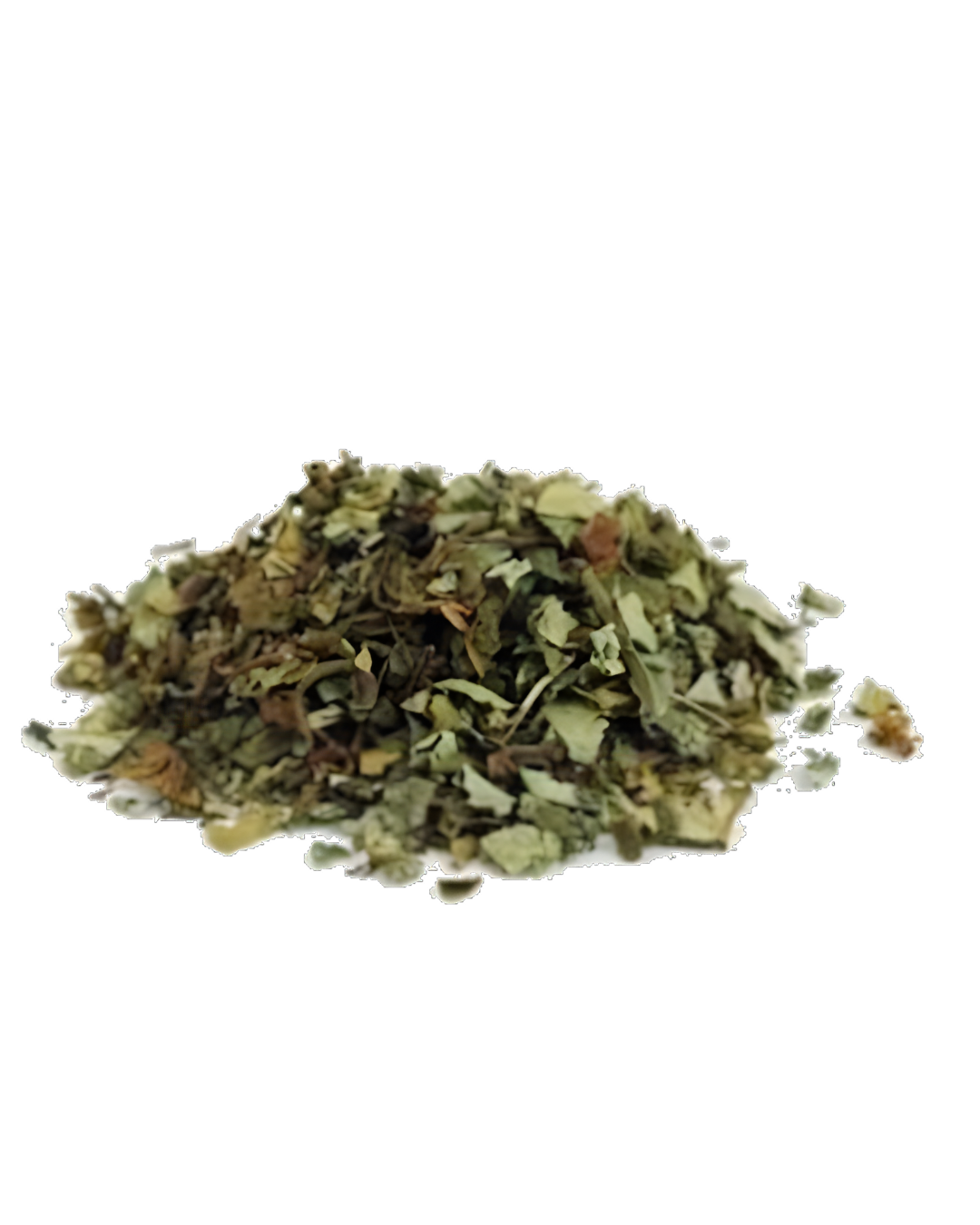 HOJA SANTA