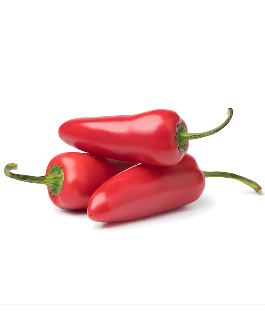 JALAPEÑO ROJO