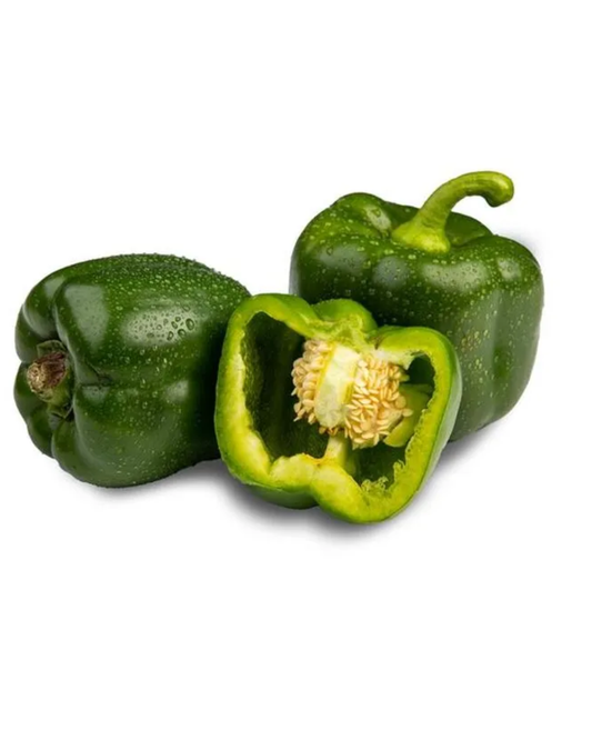 PIMIENTO MORRÓN VERDE