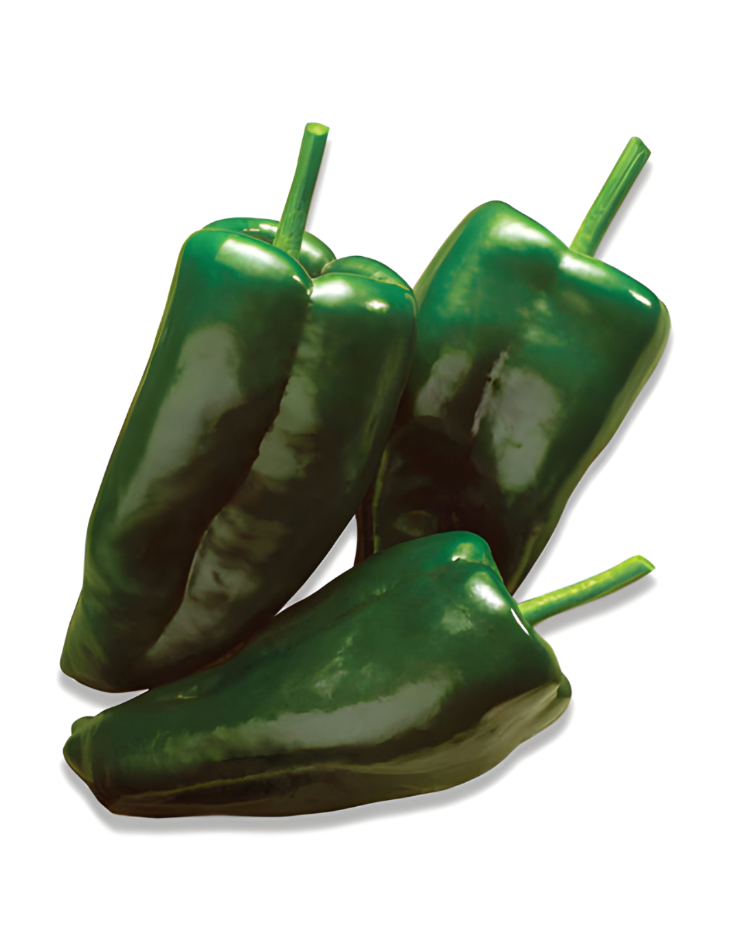 POBLANO CHILE FRESCO